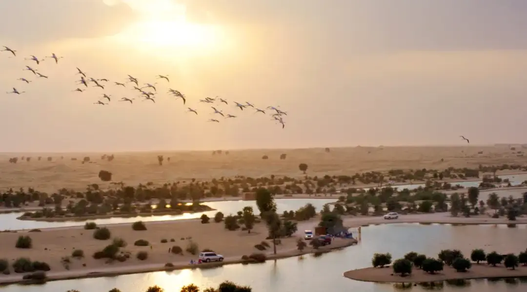 Dubai desert safari location map showing Lahbab, Al Qudra, and DDCR zones