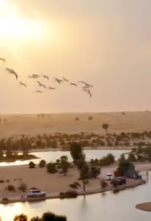 Dubai desert safari location map showing Lahbab, Al Qudra, and DDCR zones