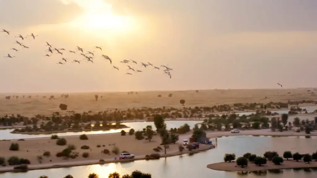 Dubai Desert Safari 4×4 on red dunes at sunset with lantern-lit camp