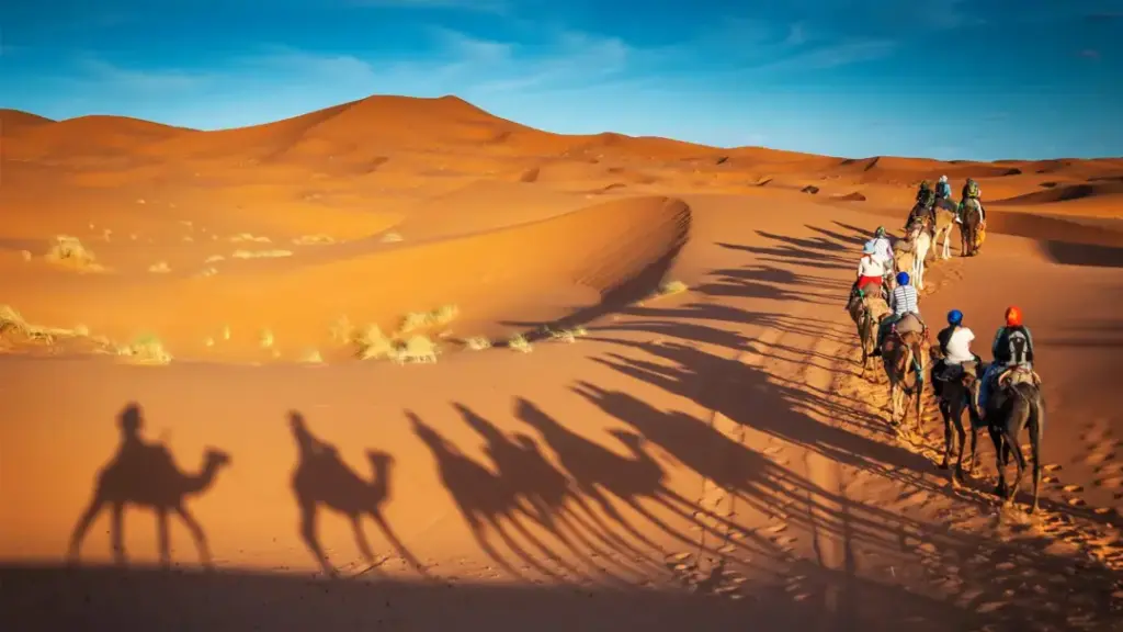 Tourists riding camels across golden sand dunes during a Desert Safari Abu Dhabi Desert adventure.