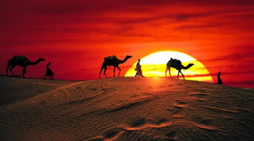 Red Dunes Desert 4×4 on red dunes Dubai at sunset with camel ride