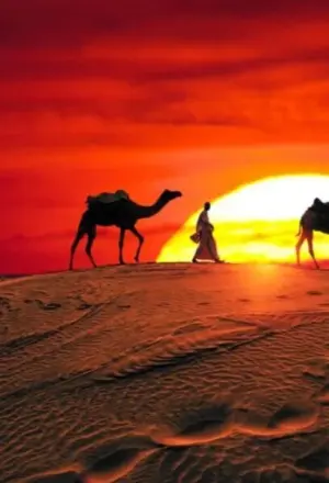 › Forever Tourism LLC Desert Safari Captions for Dubai Adventures by Forever Tourism