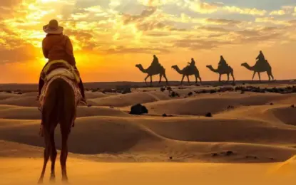 Dubai Red Dune Safari: Sunset Thrills & Easy Booking