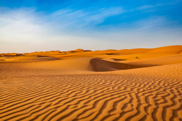 Golden Sand Dunes — Dubai Desert Safari Location Map Experience › Forever Tourism LLC Golden sand dunes under a bright blue sky in the Dubai desert, featured on the Dubai Desert Safari Location Map.