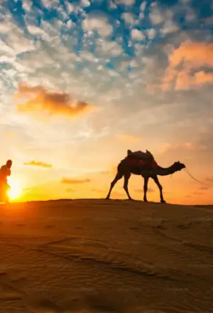 desert safari location map highlighting Lahbab, Al Qudra, DDCR near Dubai