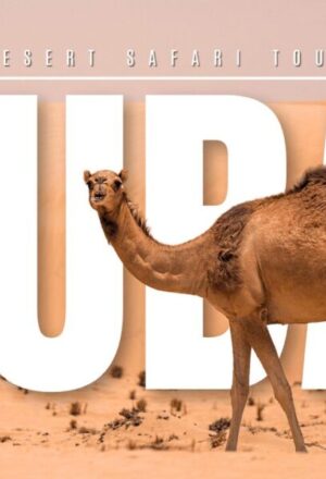 › Forever Tourism LLC clock and 4x4 on sand showing different desert safari Dubai timings