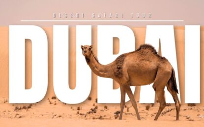Desert Safari Dubai Timings: Morning, Evening & Overnight