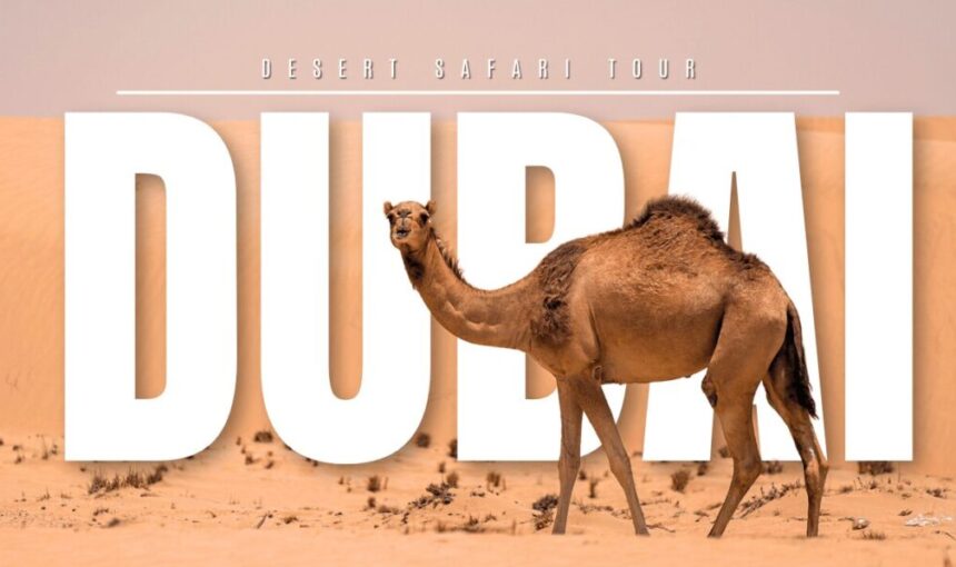 Desert Safari Dubai Timings: Morning, Evening & Overnight