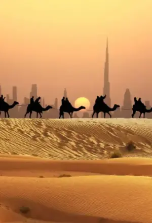 › Forever Tourism LLC Emirates Tours and Safari with Forever Tourism in Dubai