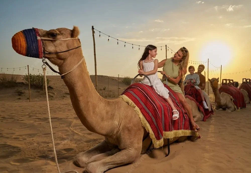 desert safari near me with 4x4 dune bashing, camel rides, and sunset campfire