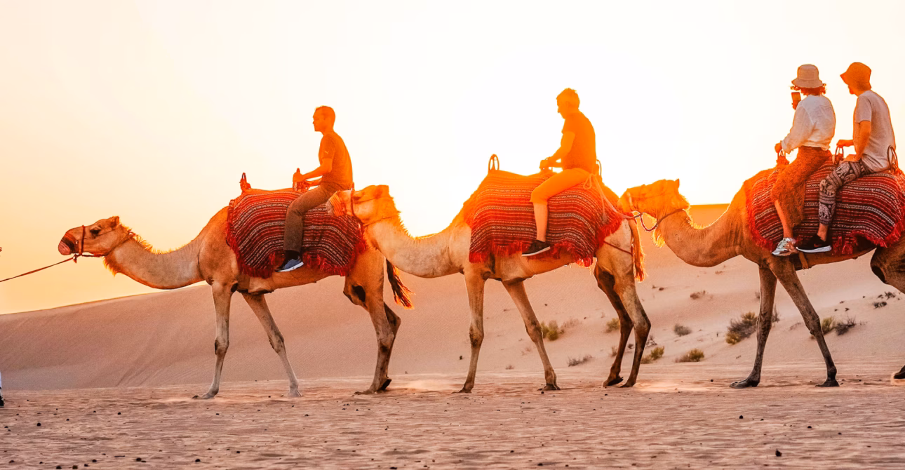 Tourists enjoying an Abu Dhabi desert safari tour in the Abu Dhabi desert with sand dunes and adventure activities.