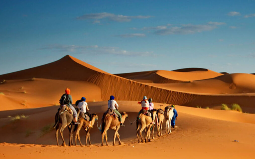 Camel caravan during a desert trip Abu Dhabi showcasing traditional travel across golden sand dunes.