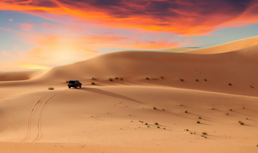 Abu Dhabi Desert Safari United Arab Emirates Guide