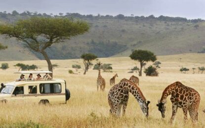 Kenya Safari from Dubai: Masai Mara, Cost & Best Time