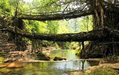 Why Meghalaya Trips Are the Perfect Nature Escape from Dubai