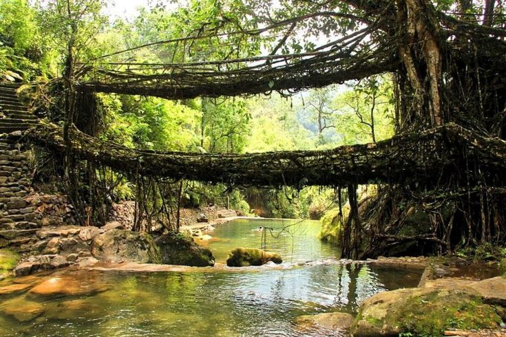 Why Meghalaya Trips Are the Perfect Nature Escape from Dubai