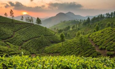 Kerala classic tour