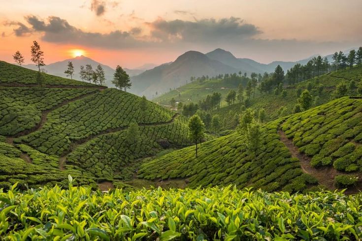 Kerala classic tour