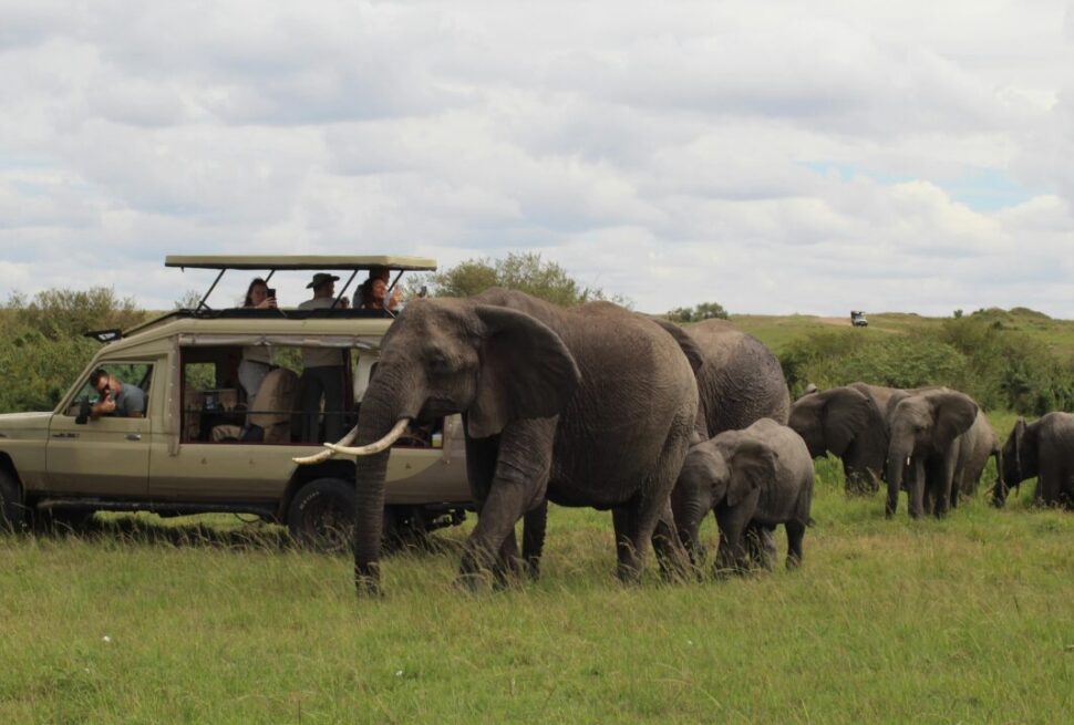 Book 6-Day Kenya Safari Tour › Forever Tourism LLC People are enjoying Kenya safari tour with guide