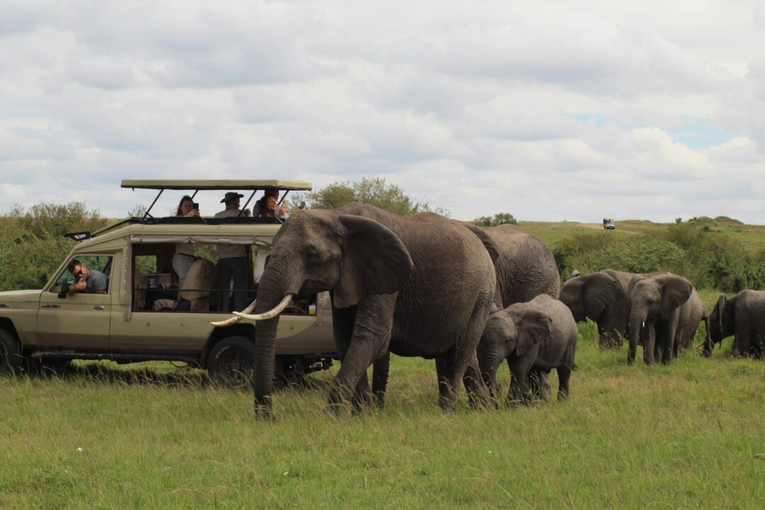 People are enjoying Kenya safari tour with guide