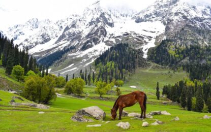 6-Day Kashmir Tour | Srinagar, Gulmarg & Pahalgam (Save 19%)