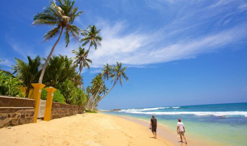 Book Now: 7-Day Sri Lanka Tour with Yala Safari & Beach Escape