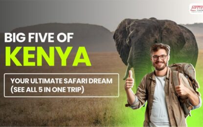 Big Five of Kenya: Your Ultimate Safari Dream (See All 5 in One Trip)