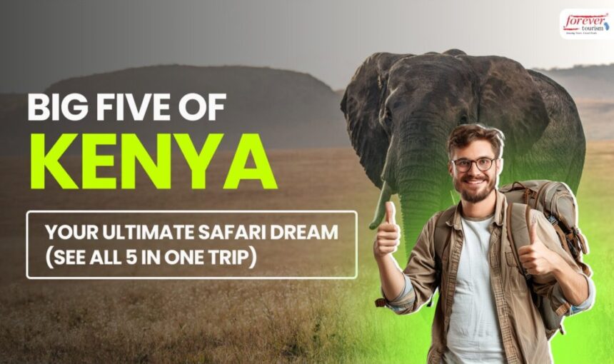 Big Five of Kenya: Your Ultimate Safari Dream (See All 5 in One Trip)