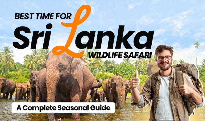 Best Time for a Sri Lanka Wildlife Safari: A Complete Seasonal Guide