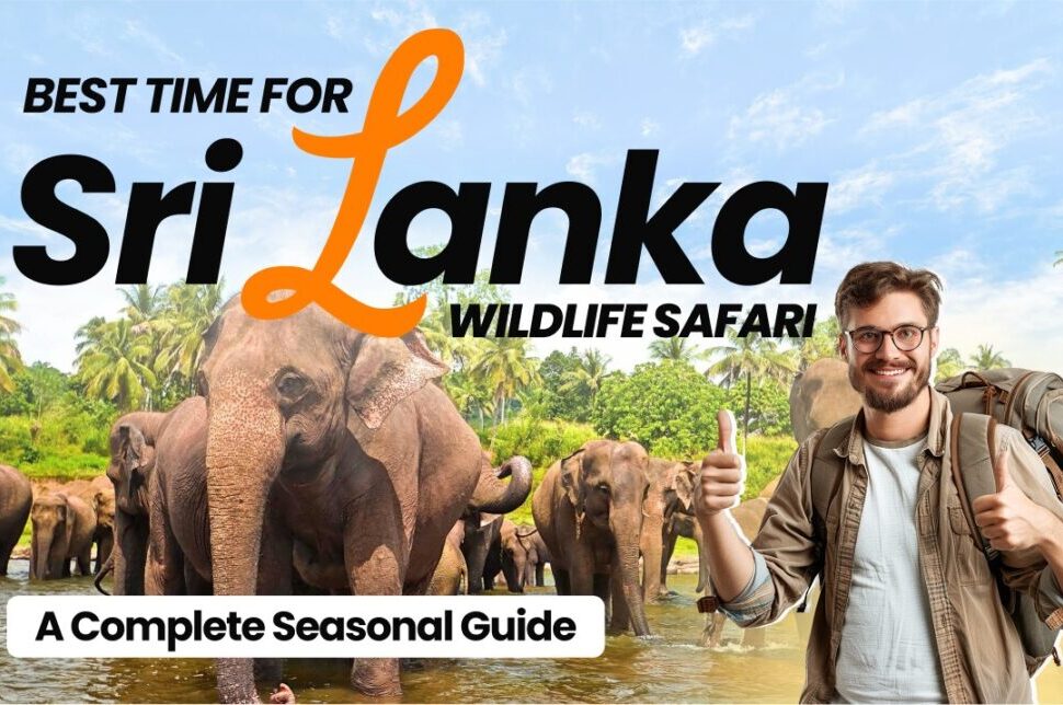 Best Time for a Sri Lanka Wildlife Safari: A Complete Seasonal Guide › Forever Tourism LLC Traveler with backpack giving a thumbs up beside elephants in a Sri Lanka wildlife safari guide cover.