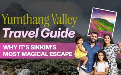 Yumthang Valley Travel Guide: Why It’s Sikkim’s Most Magical Escape