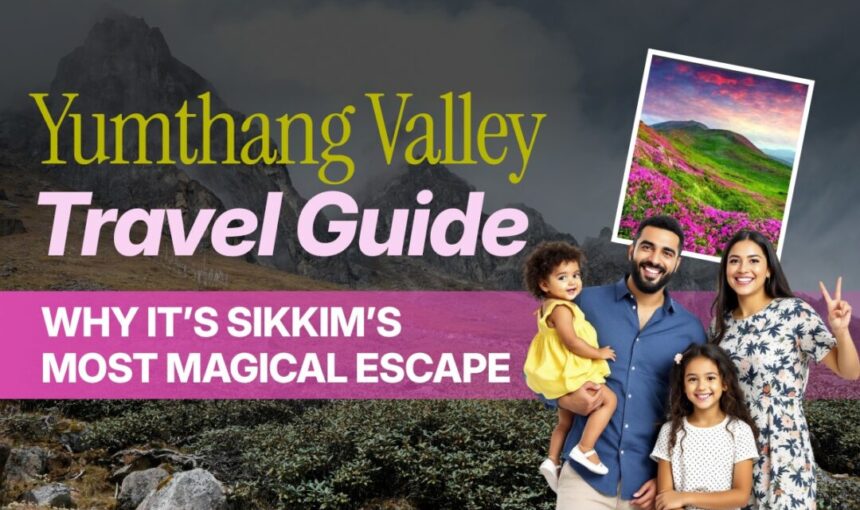 Yumthang Valley Travel Guide: Why It’s Sikkim’s Most Magical Escape