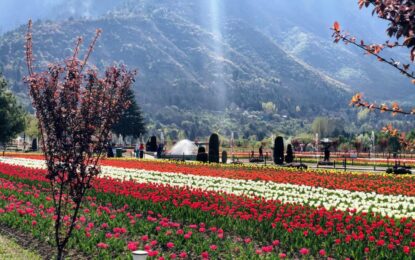 Cheapest Tour Packages for Kashmir by Season (Summer vs Winter Deals)