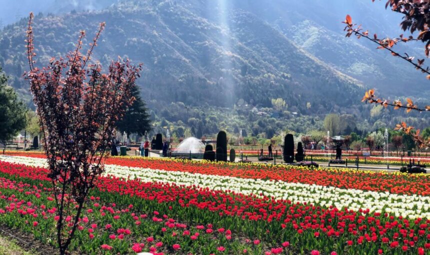 Cheapest Tour Packages for Kashmir by Season (Summer vs Winter Deals)