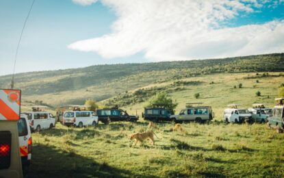 Kenya Safari Tour Packages | Best Itineraries, Prices & Travel Guide