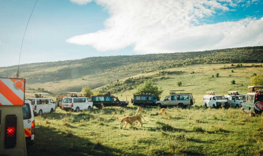 Kenya Safari Tour Packages | Best Itineraries, Prices & Travel Guide