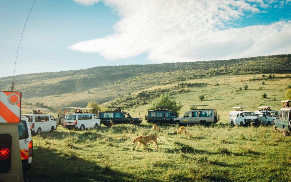 Kenya Safari Tour Packages | Best Itineraries, Prices & Travel Guide › Forever Tourism LLC Kenya Safari Tour Packages images