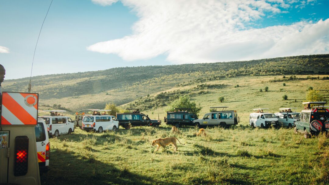 Kenya Safari Tour Packages images