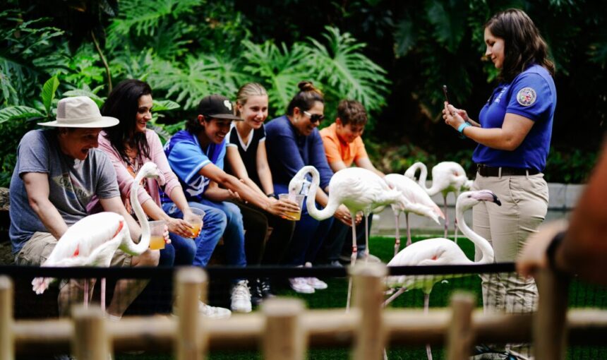 Why Forever Tourism Ranks Among Top Travel Companies in Dubai?