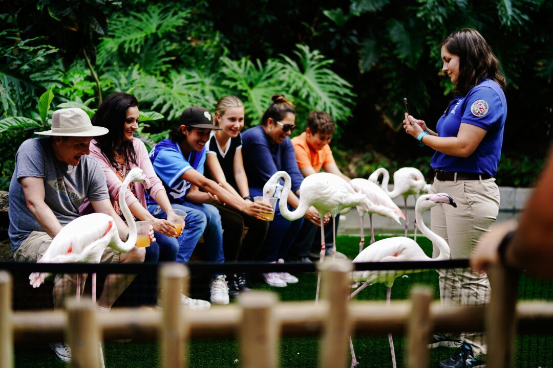 Tour guides are helping tourists