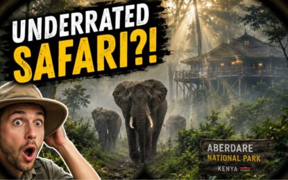 Aberdare National Park: Discover Kenya’s Most Underrated Safari Escape