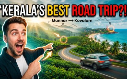 Munnar to Kovalam: Kerala’s Most Scenic Road Trip Experience