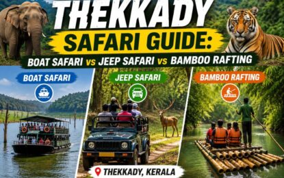 Thekkady Safari Guide: Boat Safari vs Jeep Safari vs Bamboo Rafting