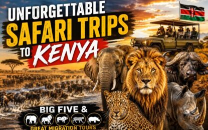 Unforgettable Safari Trips to Kenya | Big Five & Great Migration Tours