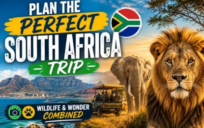 Plan the Perfect South Africa Trip | Wildlife & Wonder Combined