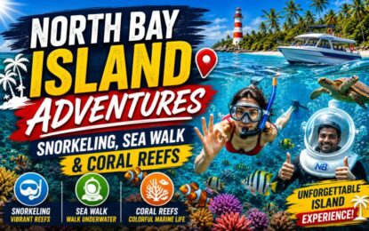 North Bay Island Adventures: Snorkeling, Sea Walk & Coral Reefs
