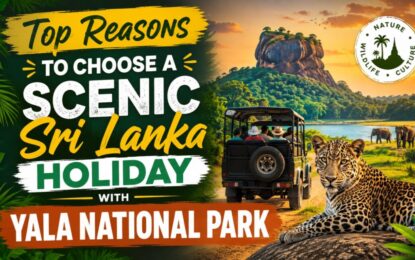 Top Reasons to Choose a Scenic Sri Lanka Holiday with Yala National Park