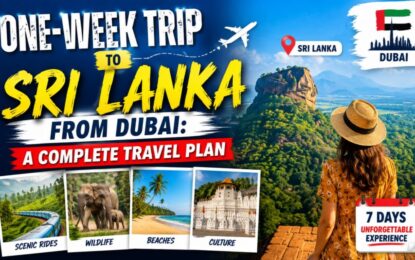 One-Week Trip to Sri Lanka from Dubai: A Complete Travel Plan › Forever Tourism LLC Promotional poster for a one-week trip from Dubai to Sri Lanka, with a woman in a hat overlooking a tropical landscape and a collage of highlights: scenic rides, wildlife, beaches, culture; 7 days unforgettable experience.