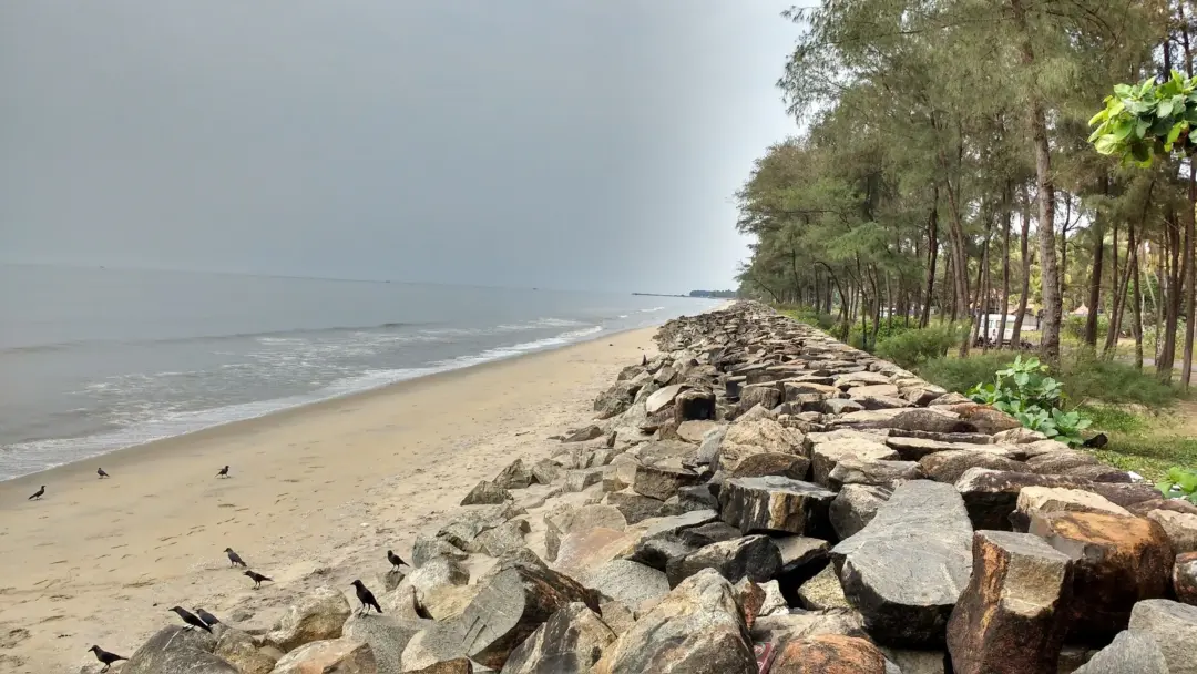 Stone breakwater extending along the beach with calm sea on the left and trees on the right.