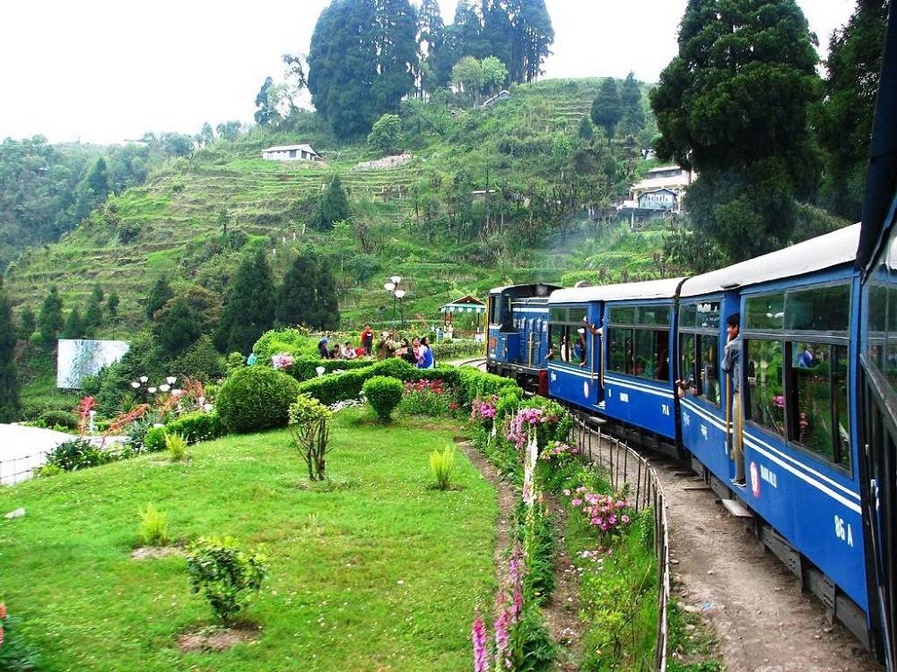 Blue passenger train on a curved track beside a manicured garden with flowers and green hills in the background, passengers in the carriages visible the windows.